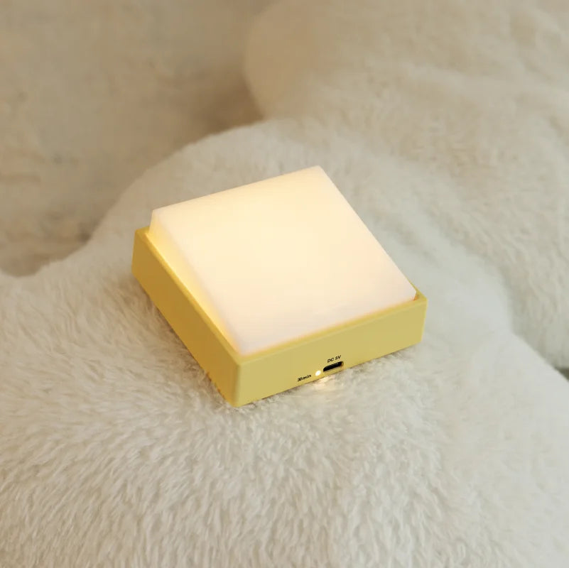 Modern Switch Light