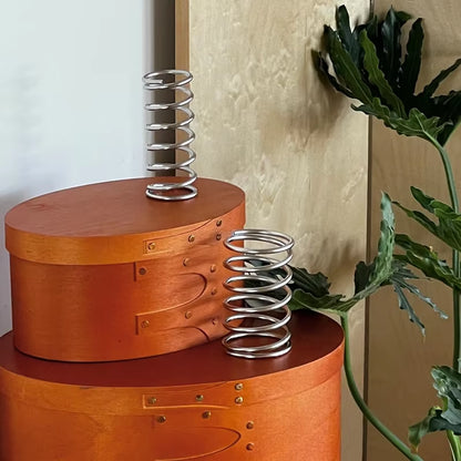 Stainless Steel Spring